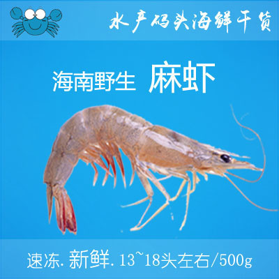 探寻鲜味之源 水产码头野生麻虾的滋味与情怀